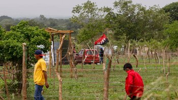 En medio de la crisis,