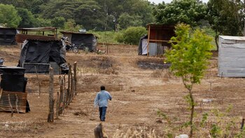 La mitad de las tierras