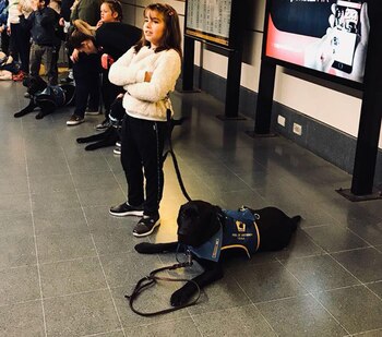 Lola viaja en transporte público