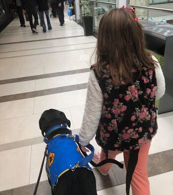 Caminando por el shopping: Preto