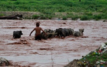 Un hombre saca a sus