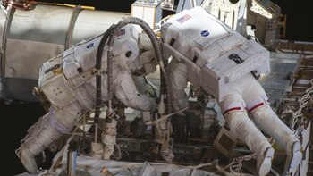 Además de los experimentos dentro