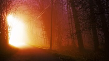 El panorama, ante ellos, era