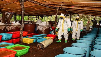 La “cocina” para la elaboración