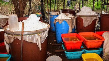 Parte de la droga incautada