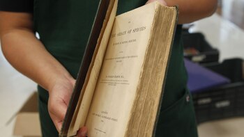 Libro “El origen de las