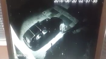 El dueño regresó luego tranquilamente