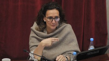 La presidente del Senado Gabriela Michetti (Patricio Murphy)