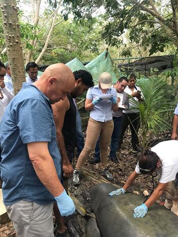 Expertos que trabajan en la