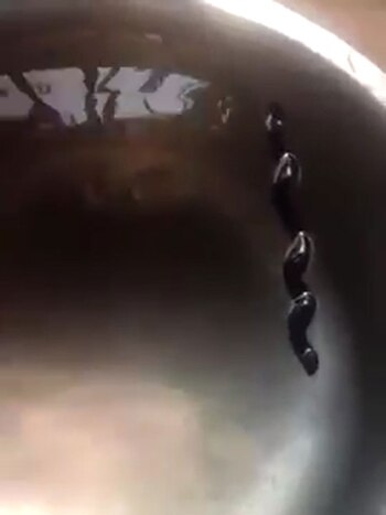 La extraña hierba se encuentra