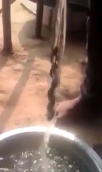 Increíblemente, parece tener la capacidad