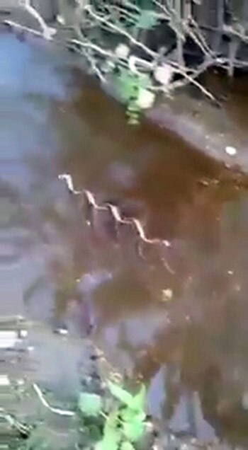 Con la misma lógica, se