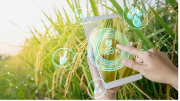 Según la ONU, la incorporación