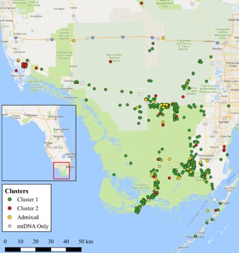 Este mapa muestra los puntos