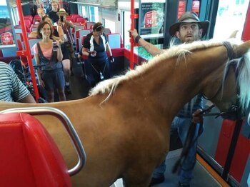 Frieda y Benni estuvieron un