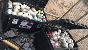 Las drogas decomisadas se estiamaron en