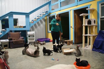 Imagen: Amy Fischer/Universidad de Illinois