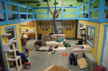 Imagen: Amy Fischer/Universidad de Illinois