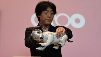 La mascota robot comenzó a