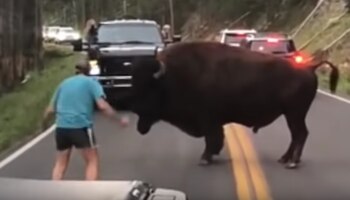 Imagen I3ERXYIE4FBCDHVFDLPVHDNJBQ