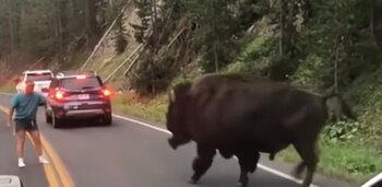 Imagen RGJIYZOGSRA3RC7H5MNG47Y4TQ