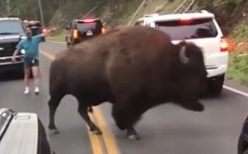 Imagen W2X6OAJH5JF2NB7KIKVWRUY6JY