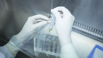 La muestra de sangre que