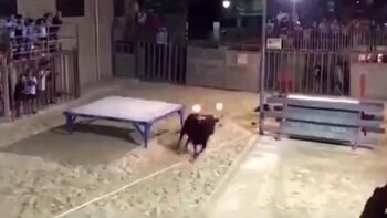El toro siguió corriendo después