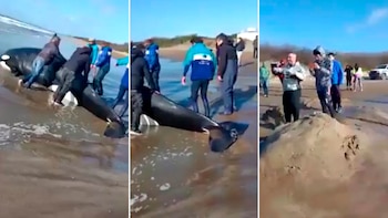 Imágenes del rescate de la