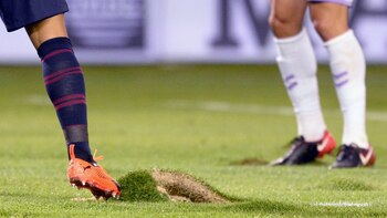 “Es lo más parecido a