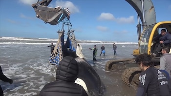 La imagen del rescate de