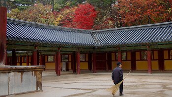 La quietud y la calma