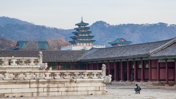 La cámara de fotos arderá