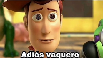 Los tiernos memes por el