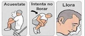 Los tiernos memes por el