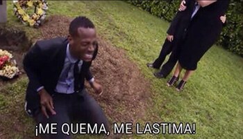 Los tiernos memes por el