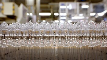 Bombillas halógenas en una planta