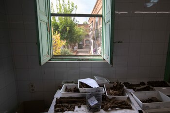 La clasificación de los restos