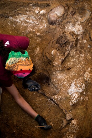 (AP/ Emilio Morenatti)