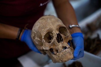 Un antropólogo sostiene un cráneo