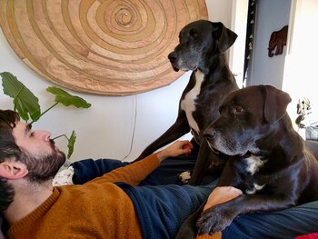 La pareja asegura que el