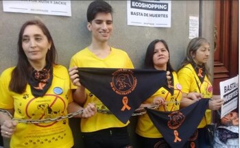 Mientras ocurría la Audiencia Pública,