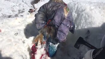 El cuerpo de Elena Basykina