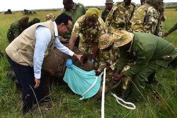 El proyecto para trasladar a