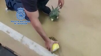 La arrojó contra el suelo