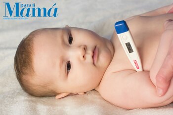 Cuando el bebé levanta fiebre,