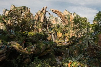 pandora bay Disney