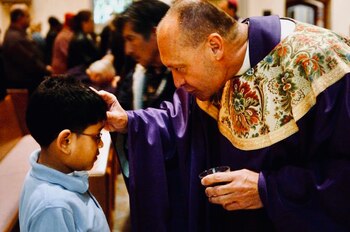 Wallin cumplirá una nueva sentencia de 9 meses en prisión donde será tratado por su adicción