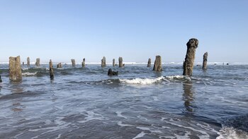 Desde el sur del río