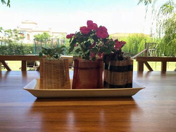 Luego de ser usados, los